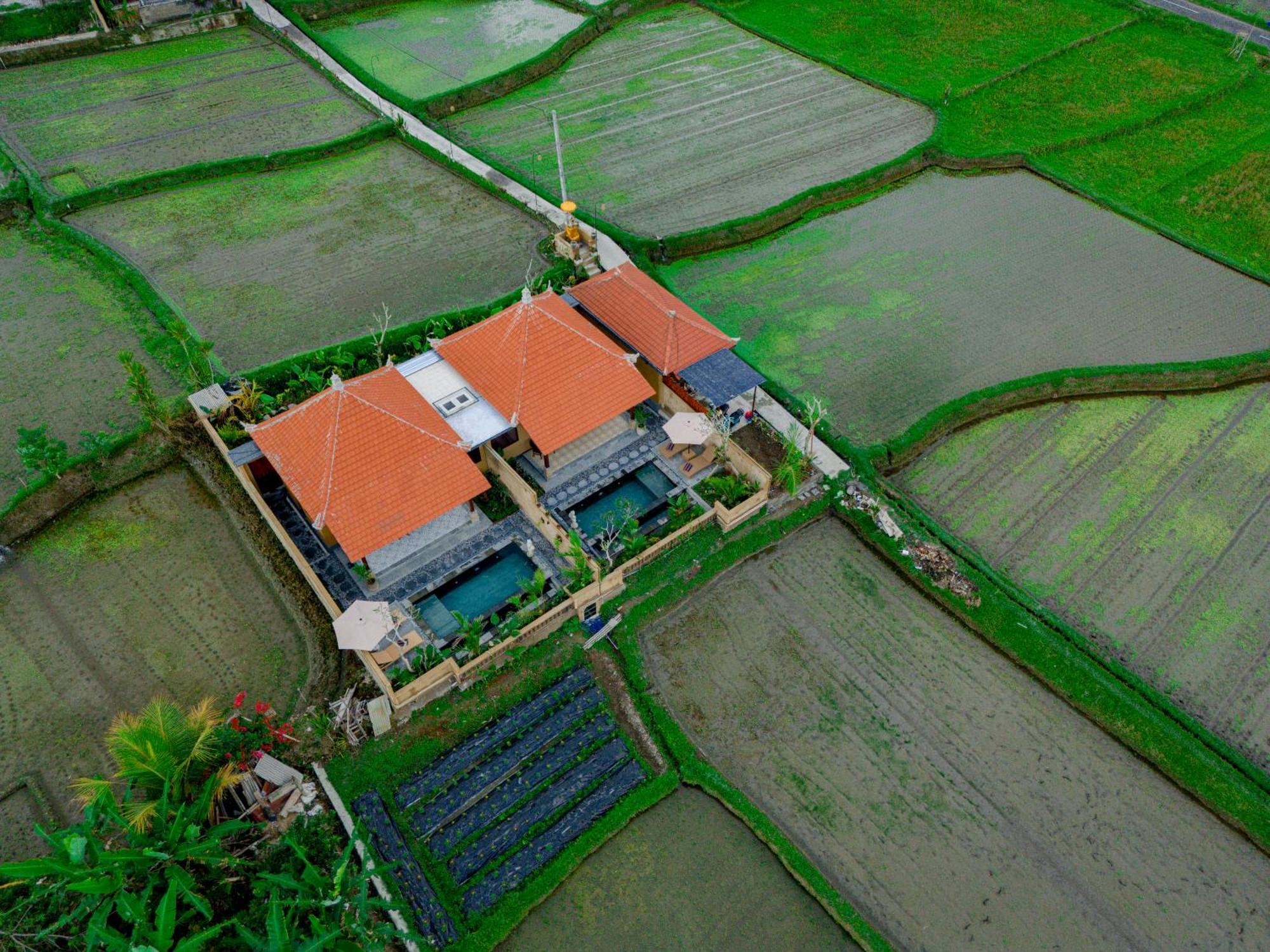 Umesari Villa Sebatu By Uniquecations Ubud Exterior foto